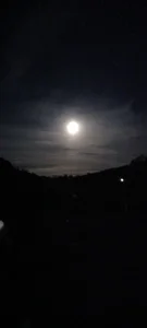 schmidtler35 Public Pic 8