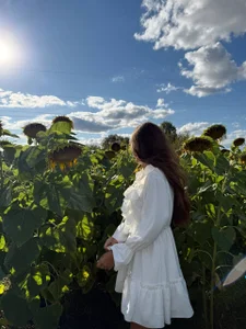 chloemilka Sonnenblume🌻 Foto 6