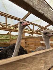 Paytonferrara kullanıcısının Art in the little things albümü -  6 fotoğraf