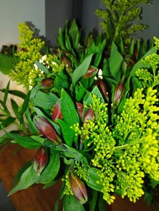 Isa_Maiden1 Story with Flowers 🌻 Bilde 4