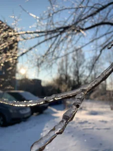 liana_kisses Frosty days😋❄ 사진 2