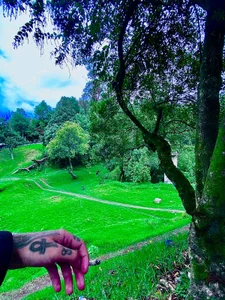 Public de andrew2199  4 photos