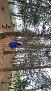 Martha_pookerxxx Tabak Camp Kuva 4