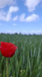 FreezingTie850 Public Fotka 2