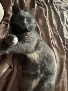 LeanneDinkle again my kitty and elevator :) Fotka 5