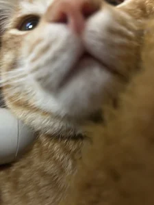 chii_chan_o0のPublicの 7枚の写真