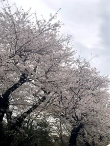 xx-Nano-xx Public Pic 5