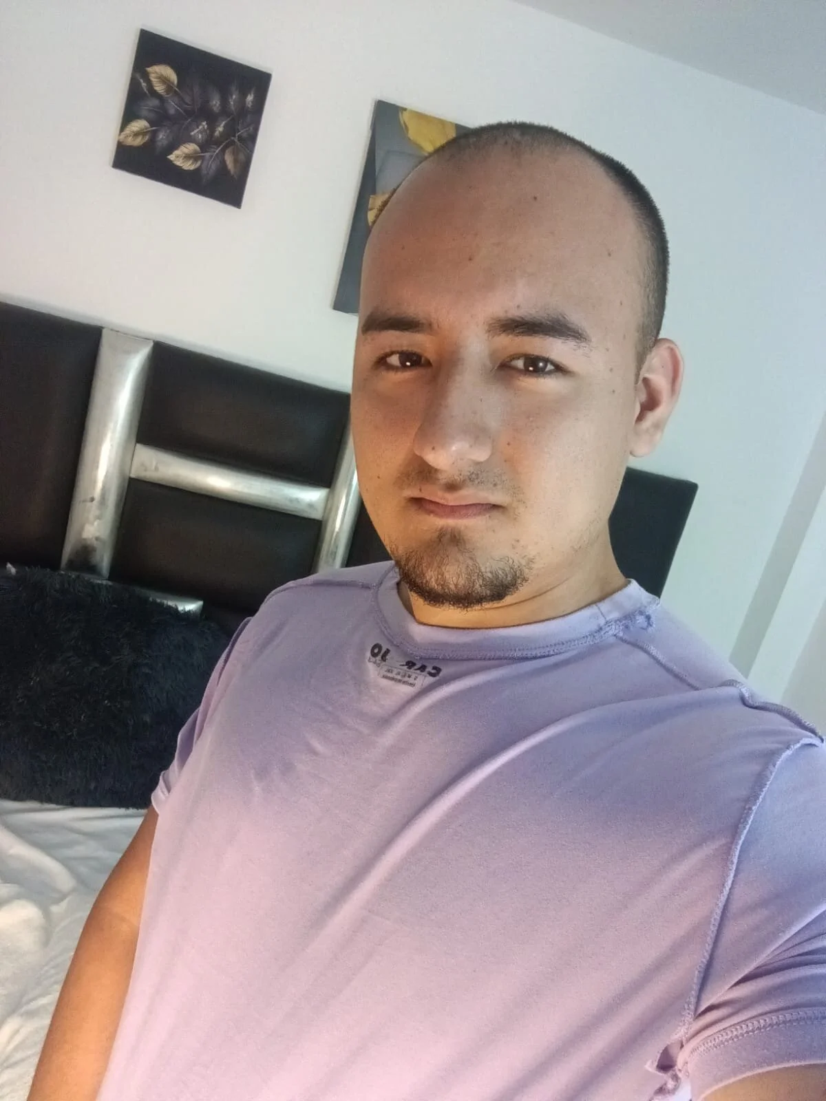Elgranfranco24s Trending Plaatje 7901