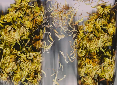 sorry-mom69 the history of flowers Foto 7