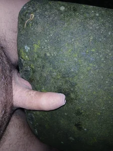 Pave31 Good Foto 3