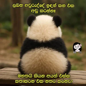 ApexO45 Public 사진