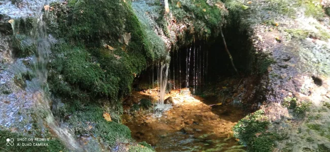 __MaryLee__のThe beauty of natureの 9枚の写真