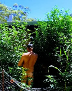 madaussiehere Public Gambar 7