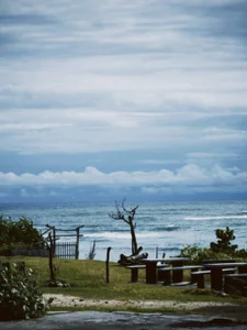 DonaDebore Sometimes the sea takes away my thoughts 💙 Pic 2