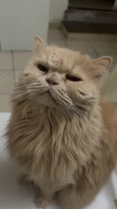 Public de Priyaa_chut Foto 4