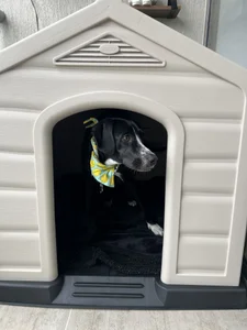 mandi4pole_ Public Kuva 6