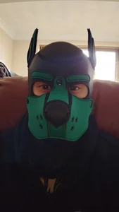 Castbotter1995 a puppy hood Kuva