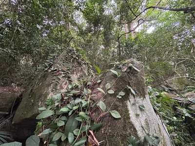 MistyBarnes China Pic 2