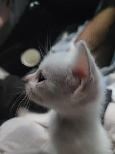 Lovelyamyy Yukime photodump Pic 6