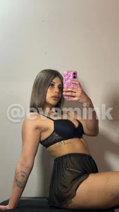 EvaminkPublic Bild