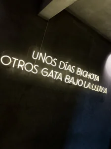 Nora_Vennucci Karaoke 🎤 Foto 9