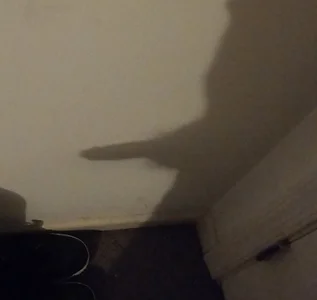 wilburydeznutz Public Immagine  2