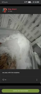 big_bearr Weekend getaway 사진 5