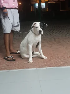 Public de EventfulSpeeder  3 photos