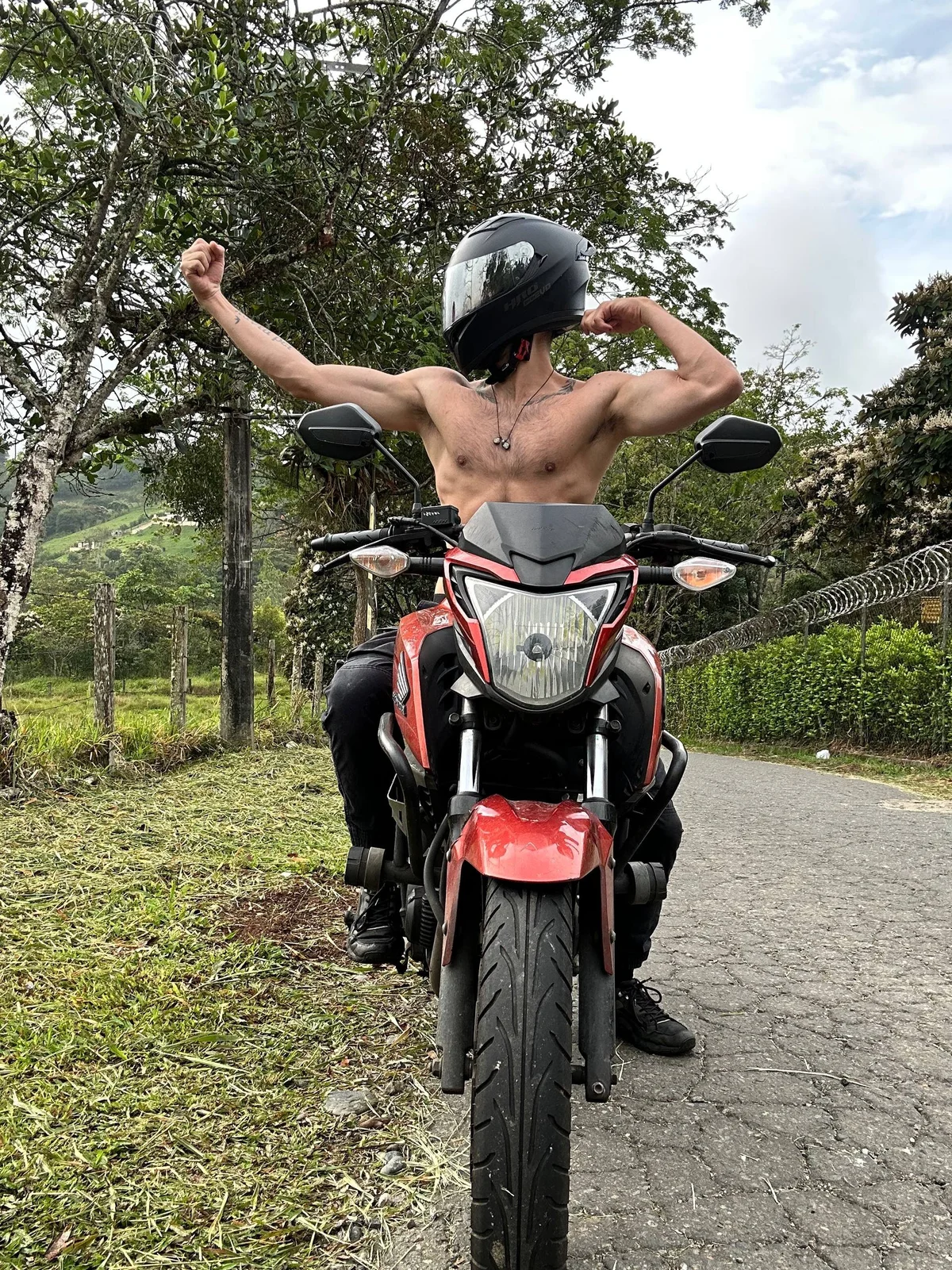 Трендове зображення  2272 Franck_White