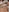 Bellaandsteele's photo