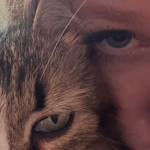 juli_kisss Your beautiful cat 😺 Pic