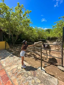 carolriveraa_ Highlights Pic 5