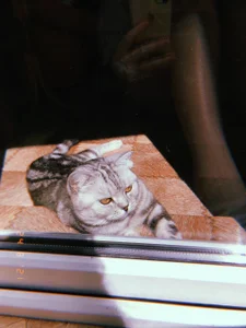 luna_berryy my little bun 😼 Pic 7