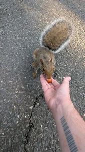 Bo0g: Feeding animals 😁 ( 2 фото)