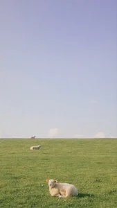 MiyeoonnのPublicの 2枚の写真