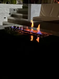 Santy_Stump Fresky Poză