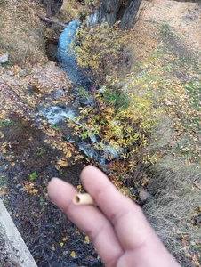 Zdjęcia Yerayyaya Public:  5