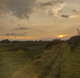 Public de AfroditaXX333 Foto 9