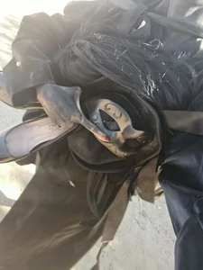 Mio de barbara_anal_squirt_  Imagens