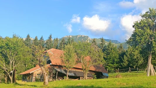 Green?? de Saysomething3  6 photos