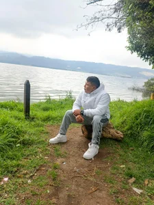 H1995Rebolledo Public Billede