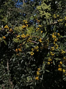 BadAssSexyAddict: Public ( 3 фото)