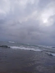 NawtyB1965 kullanıcısının Public 1 albümü -  fotoğraf