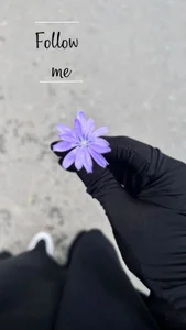 najwarazak Public รูป  5