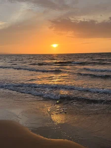 ALISSON_FOXXX1 Warm paradise ✨🌈 Pic 7