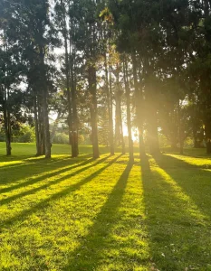 DorothyJones summer time Pic 4