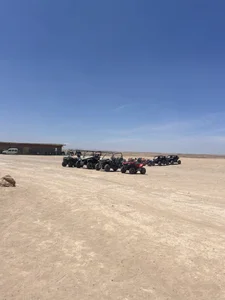 BicolorCandidate81 Public зображення 3