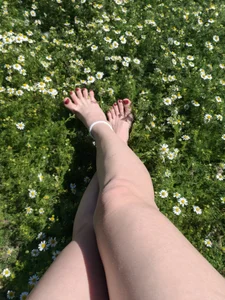 SteviaHotBloomのPublicの 3枚の写真