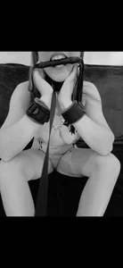 Stella_soumise Public Bilde 2