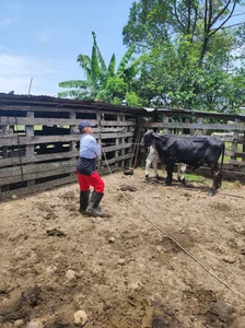 MatureHorny_70 :) Pic 3